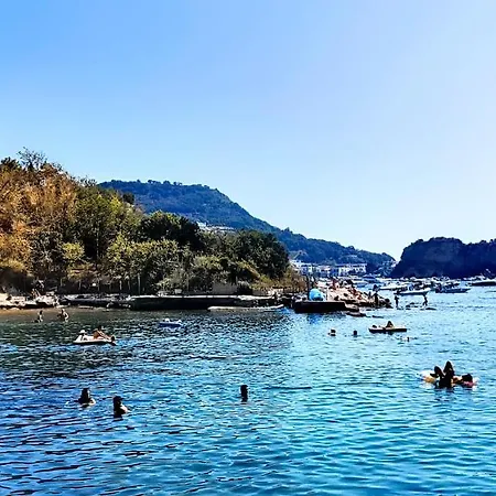 Con Incantevole Panorama 아파트 바콜리